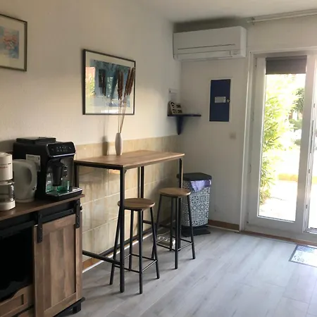 Hotel Marina Avec Terrasse Dans Avec Agde